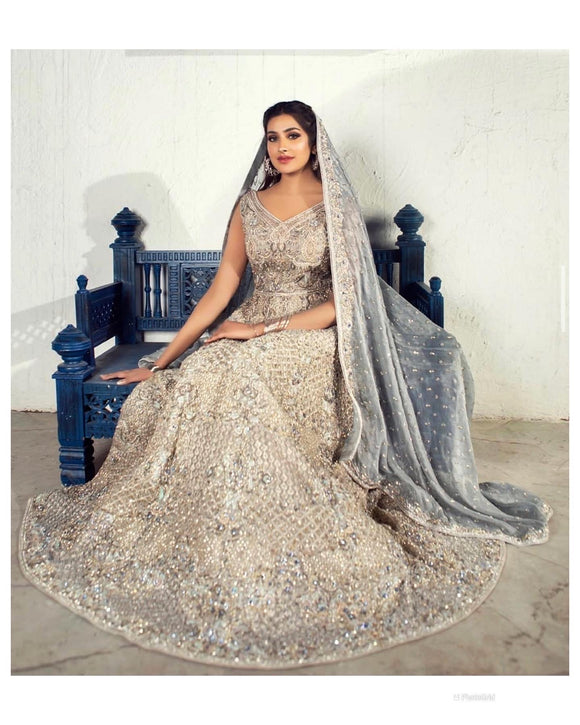 Silver Pakistani gown