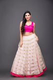 Gota work skirt with hot pink blouse