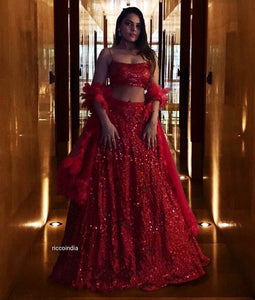 Red sequin work Lehenga with fur dupatta