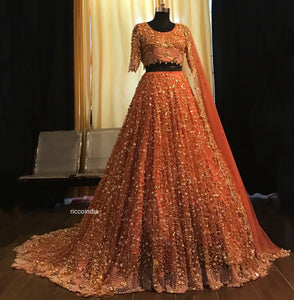 Jaal embroidery bridal Lehenga with train